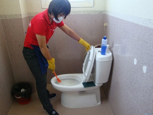 Mẹo th&ocirc;ng bồn cầu nghẹt nhanh nhất